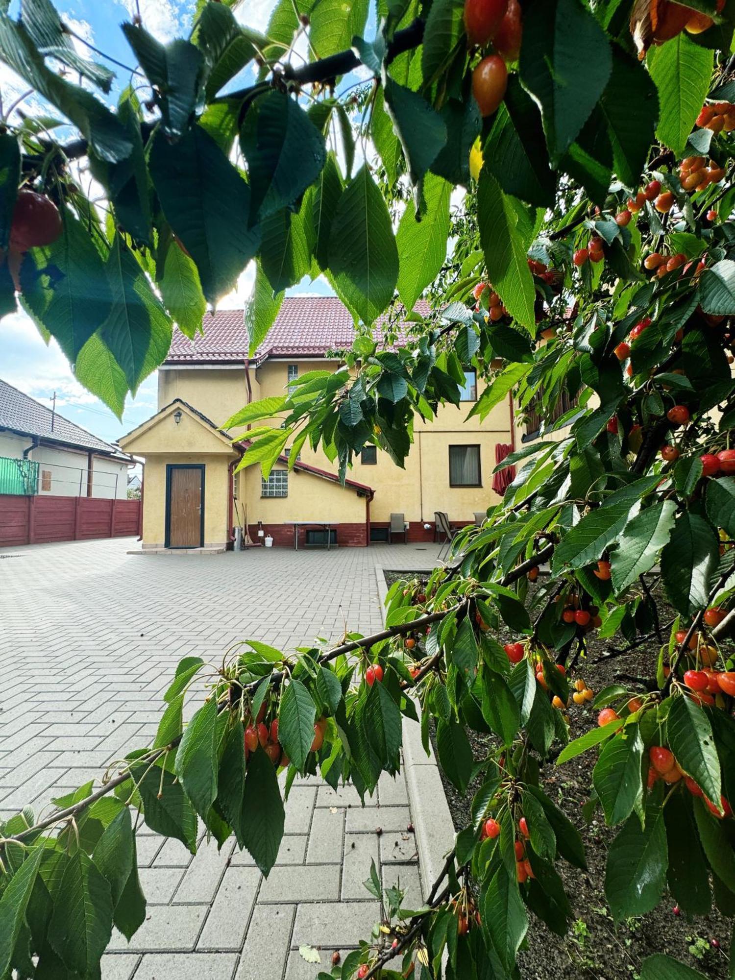 Carpathian Newstar Hotel Sibiu Exterior photo